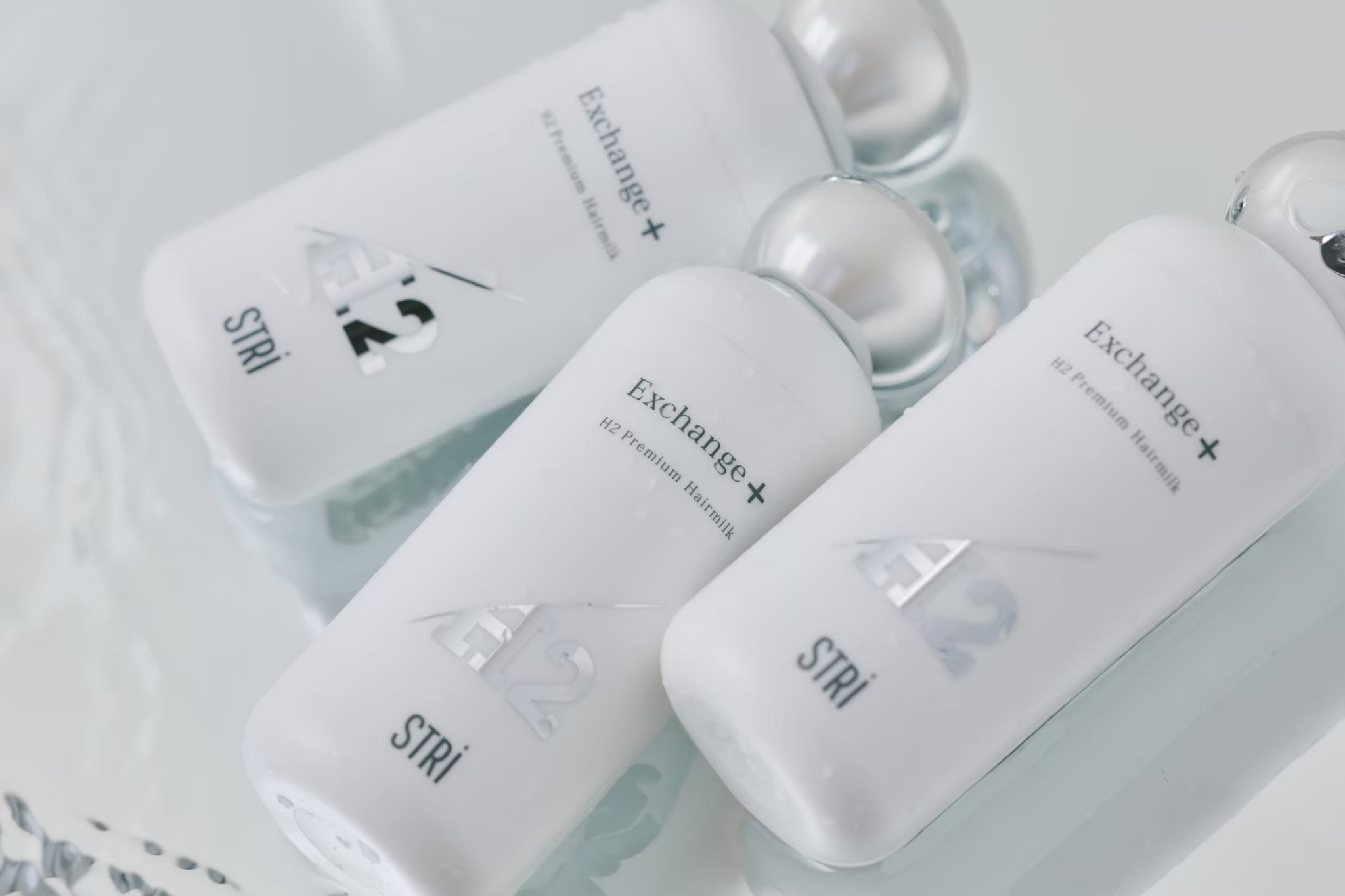 BONHEUR ボヌール